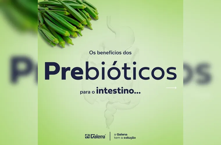 E não para por aí: Okralin também age como um excelente probiótico, favorecendo a saúde e o equilíbrio da flora intestinal. Uma solução natural e eficaz para quem busca bem-estar e qualidade de vida. 

ONDE ENCONTRA:

Rua Francisco Búrzio 687, Centro

@farmaciaeficaciabrasil