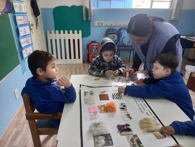 ADI 7796 questiona constitucionalidade do ensino ofertado em escolas especiais.