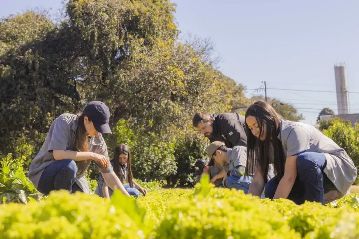 Imagem ilustrativa da imagem Colégio Agrícola da UEPG é a melhor escola pública de PG no Enem 2024