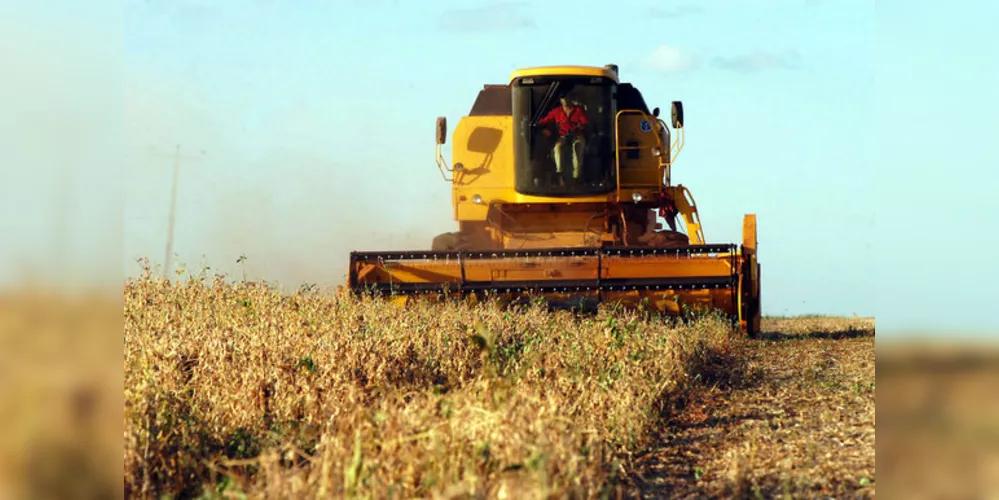 Imagem ilustrativa da imagem Safra de grãos tem quebra de 12,6% nos Campos Gerais