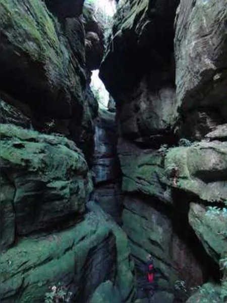 Grupo se aventura desbravando cavernas em PG