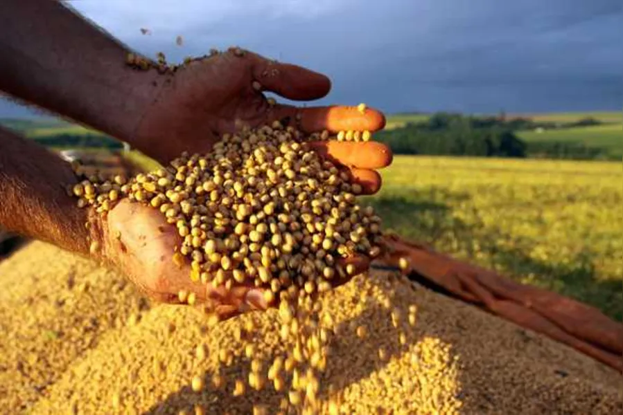 Paraná deve colher safra recorde de grãos