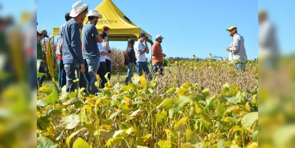 Imagem ilustrativa da imagem Cescage realiza Dia de Campo neste sábado