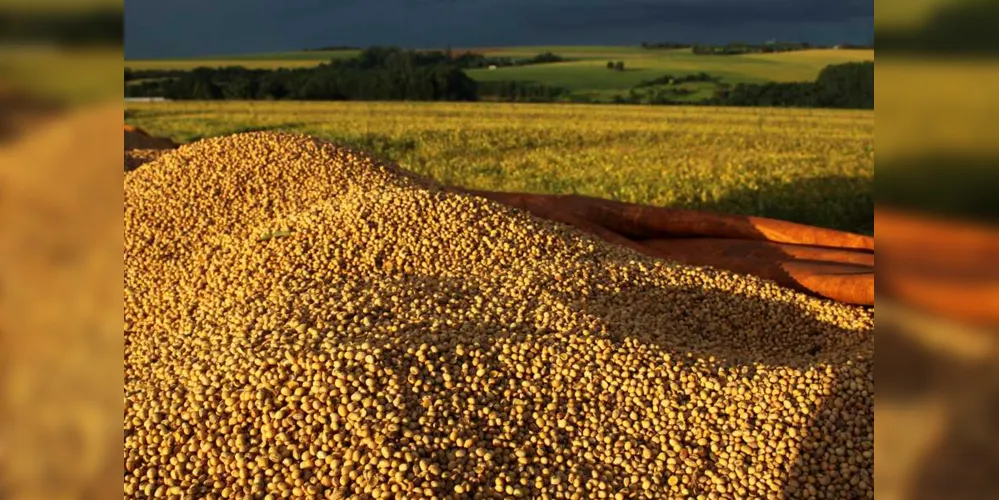 Com a colheita de 3,6 toneladas por hectare, o Estado supera em 4% o montante colhido nos Estados Unidos