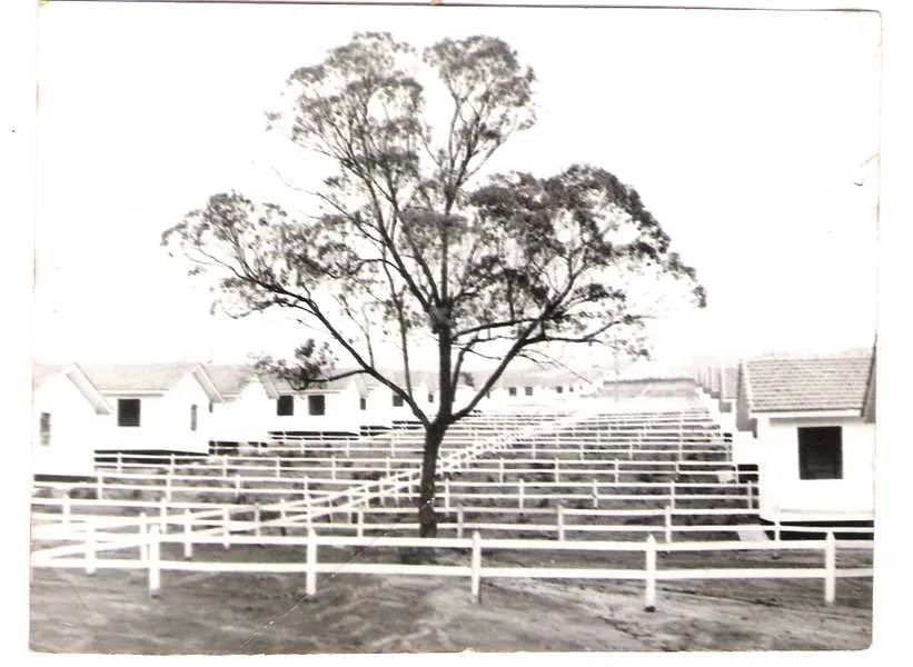 Fundado em 1978/1979, o Núcleo Santa Paula, aqui é mostrado em foto tirada pelo redator poucos dias antes da sua inauguração. Note-se que há apenas uma árvore. A foto foi tirada da parte baixa para a parte alta do núcleo. As casas estavam desocupadas e notem que não há nenhum muro ou cerca. Apenas palanques para delimitar as casas e lotes.