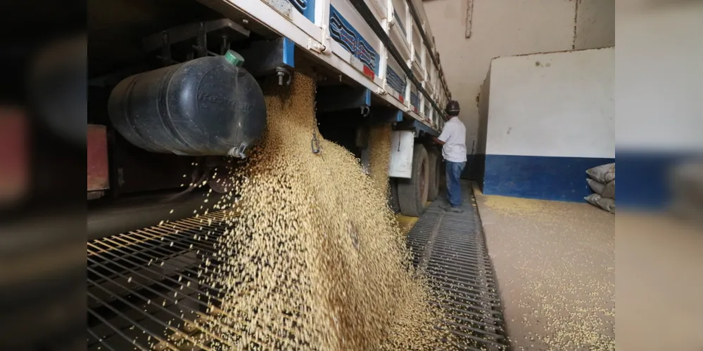Imagem ilustrativa da imagem Complexo soja de PG exporta R$ 3,14 bilhões