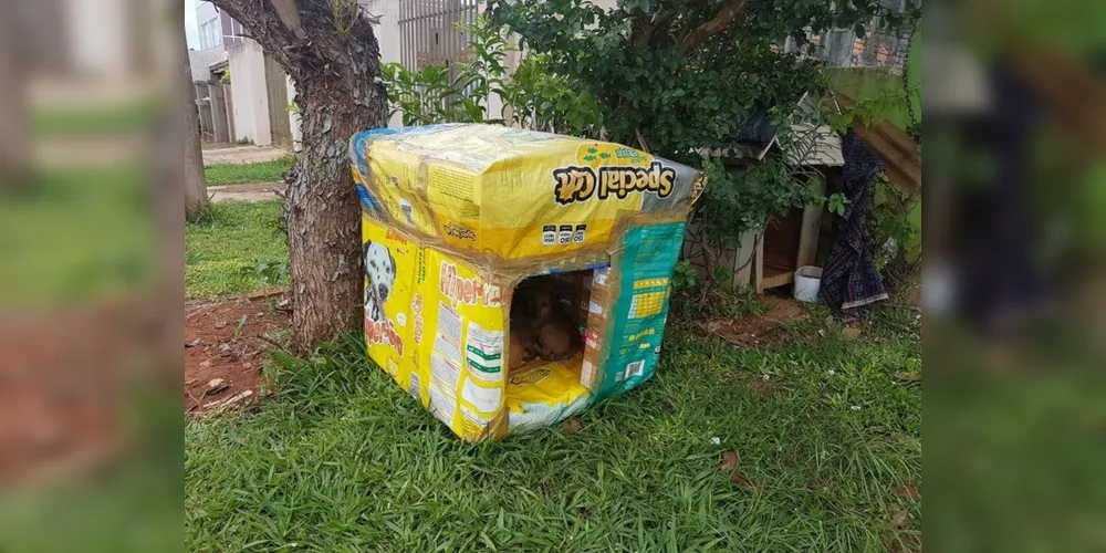 Casa de tamanho médio é feita com cerca de 150 caixinhas