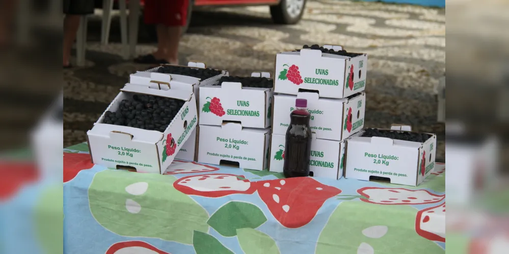Durante a Feira, uva caixa com dois quilos de uva será vendida a R$ 12