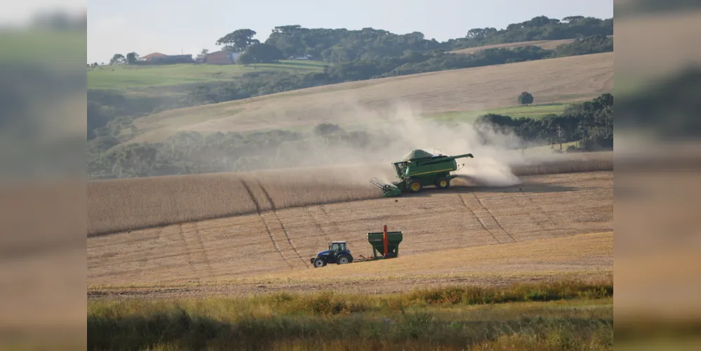 Com a queda na produtividade, a produção total de soja nos Campos Gerais também deverá ser inferior à safra 2017/2018