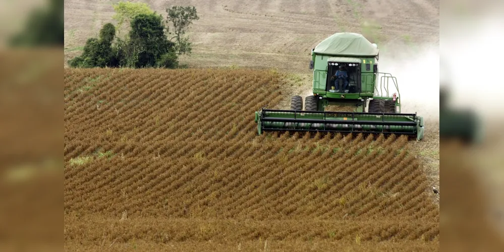 Produtividade será menor em todo o Estado do Paraná