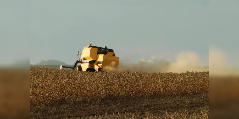 Produção de soja deverá ter queda de 3% nos Campos Gerais