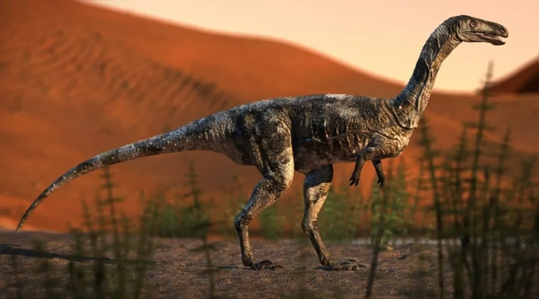 Vespersaurus paranaensis, de pequeno porte, era predador que vivia há 85 milhões de anos