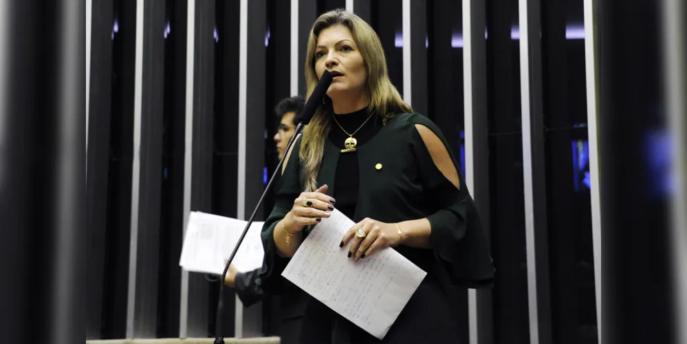 Imagem ilustrativa da imagem Aline Sleutjes assume
vice-presidência do PSL Mulher