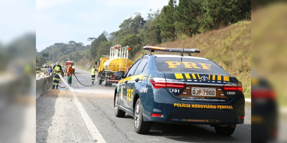 A PRF aponta percentual de números de mortes em atropelamentos e colisões frontais em rodovias no Paraná