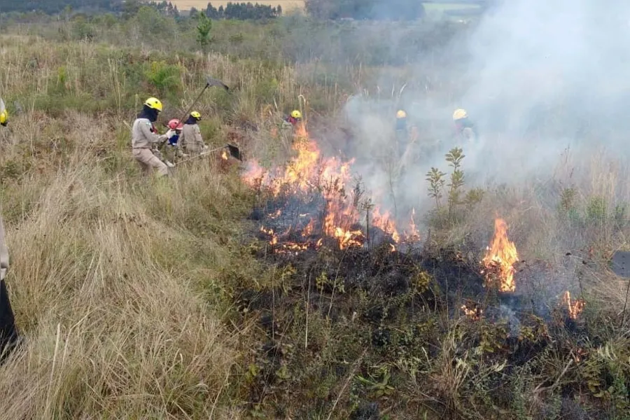 IAP promove queima controlada em Vila Velha