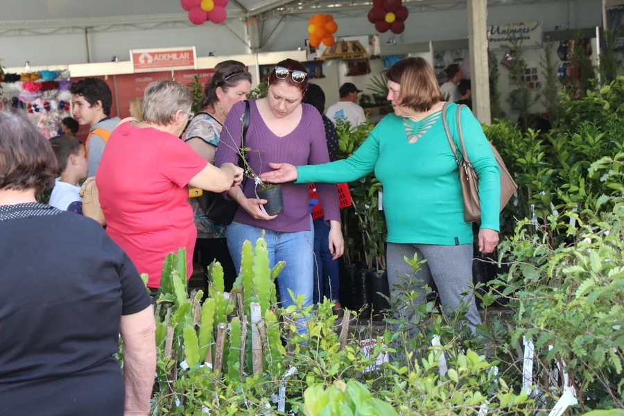 Expo&Flor movimenta PG e ajuda projetos sociais