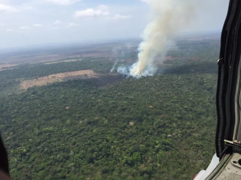 Bombeiros de PG combatem queimadas na Amazônia