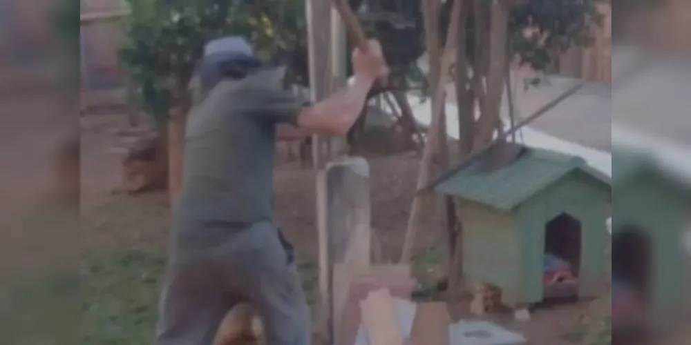 Imagem ilustrativa da imagem PG terá ato por justiça após morte violenta de cachorro