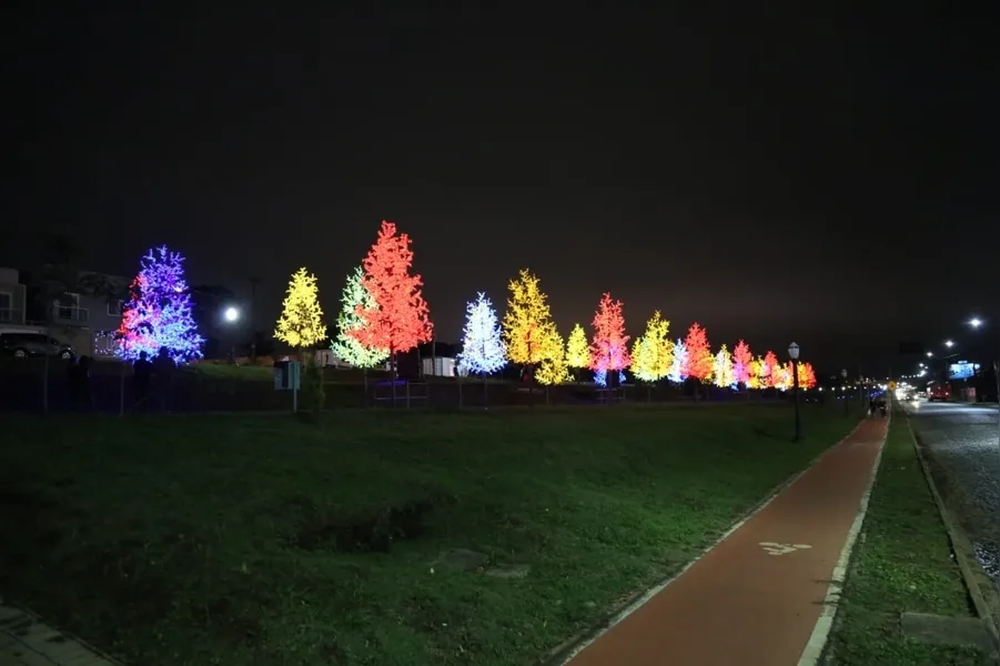 Bosque de Luz é novidade no Natal de PG
