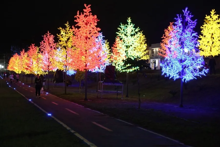 Bosque de Luz é novidade no Natal de PG