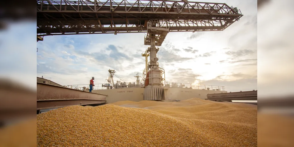 Cerca de 90% do milho descarregado no porto paranaense têm origem no Estado