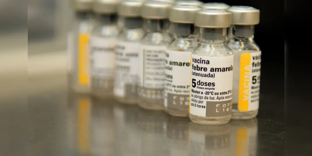 FMS deve fazer nova campanha de vacinação contra a doença