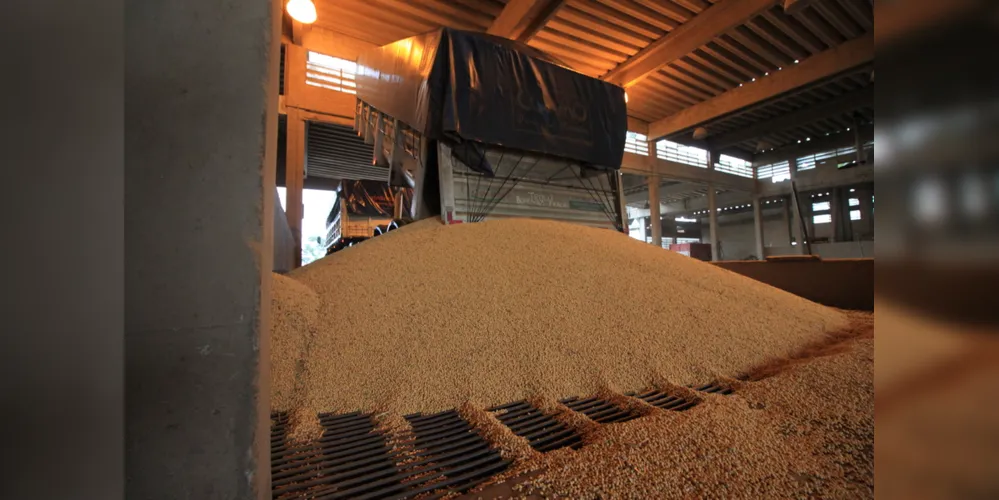 A redução na exportação da soja de Ponta Grossa passou de 76%  no último mês