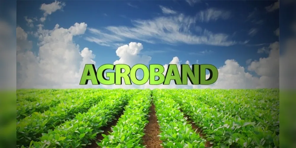 Imagem ilustrativa da imagem Band muda nome e define lançamento de novo canal de agronegócios