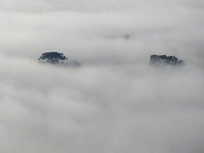 Densa névoa faz PG desaparecer. Veja imagens