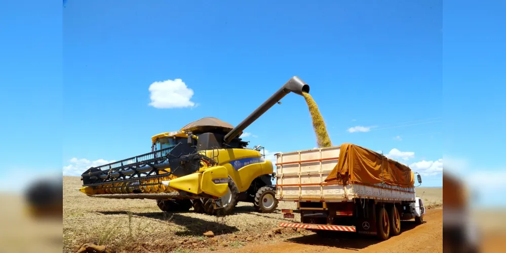 Estado deverá produzir volume 13% superior, em uma área de quase 10 milhões de hectares 