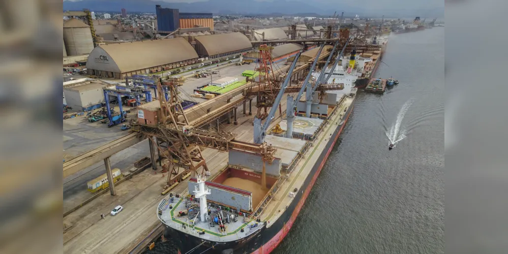 Imagem ilustrativa da imagem PG lidera envio de soja para o porto de Paranaguá
