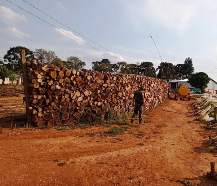 Em Imbituva, Polícia flagrou depósito de 91 metros cúbicos de lenha nativa, sem autorização
