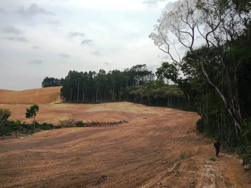 Em Ipiranga, policiais constaram a destruição de vegetação nativa em 8,58 hectares atingindo área de preservação permanente