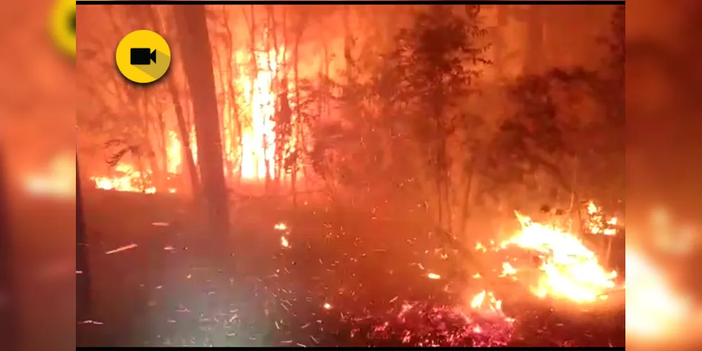 O fogo destruiu uma área aproximada de 20 mil metros quadrados, mas não há registro de feridos.