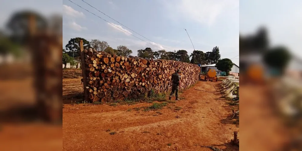 Em Imbituva, Polícia flagrou depósito de 91 metros cúbicos de lenha nativa, sem autorização