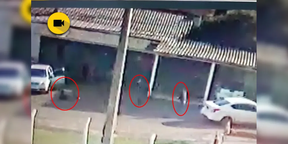 Imagem ilustrativa da imagem Vídeo mostra dupla execução em lavacar de PG