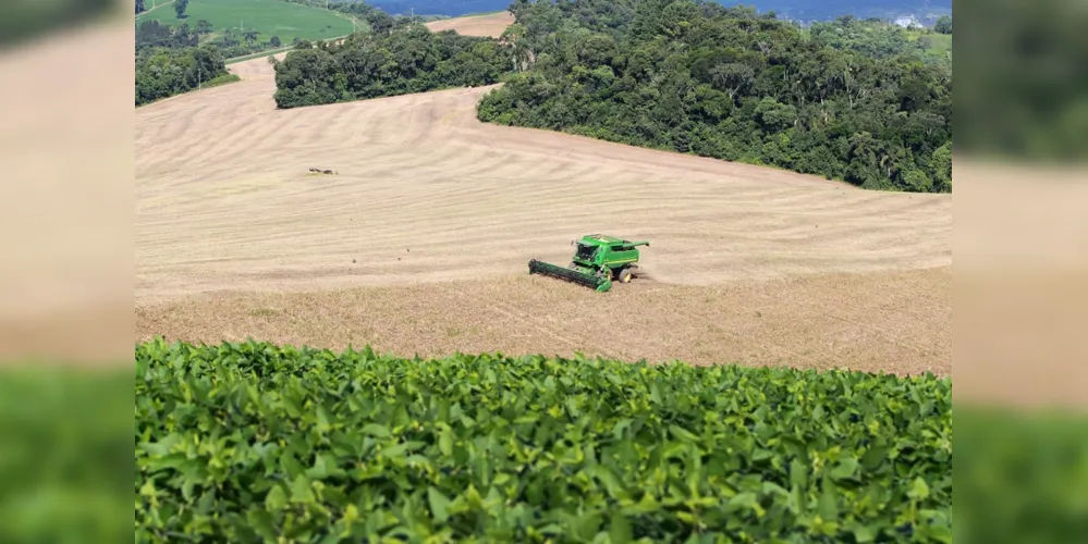 Aumento do valor do VBP ocorreu por uma combinação de produção agrícola recorde e incremento no nos preços dos produtos
