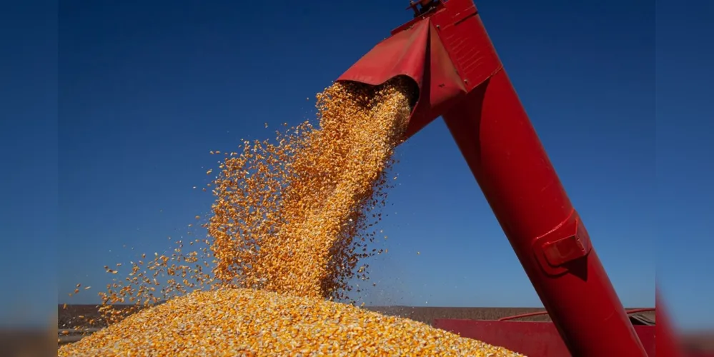A estimativa de outubro para a safra de 2020 alcançou 252 milhões de toneladas, o que é 4,4% superior à de 2019, quando foram produzidas 241,5 milhões de toneladas.