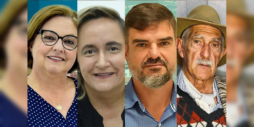 Alcione (DEM), 50%; Graciane Cava (CIDADANIA), 17%; Leon (PRTB), 14%; Pedro Mendes (PODEMOS), 6%