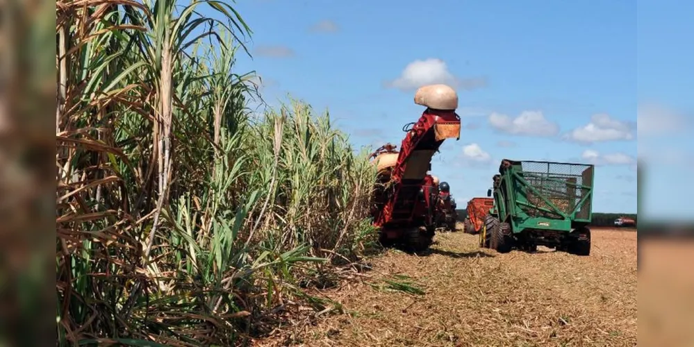 VBP do Brasil poderá atingir R$ 1 trilhão no próximo ano