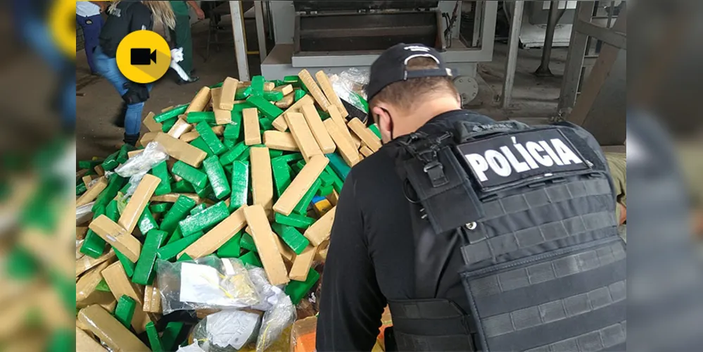 Imagem ilustrativa da imagem Polícia Civil incinera 1,5 tonelada de drogas em PG