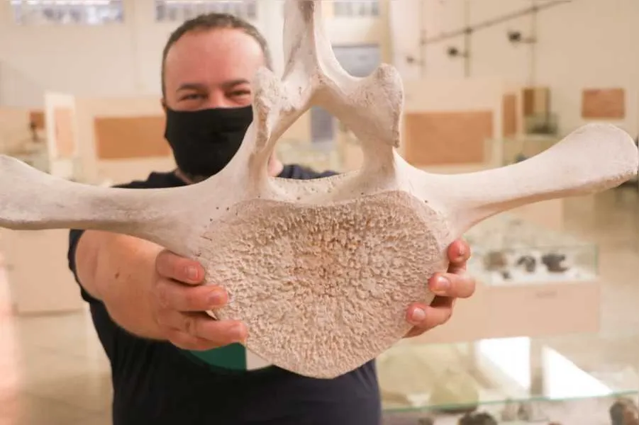 Sonho do Museu de Ciências da UEPG se torna realidade