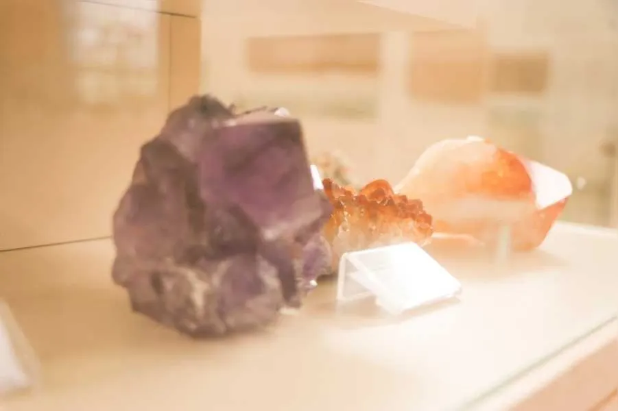 Sonho do Museu de Ciências da UEPG se torna realidade