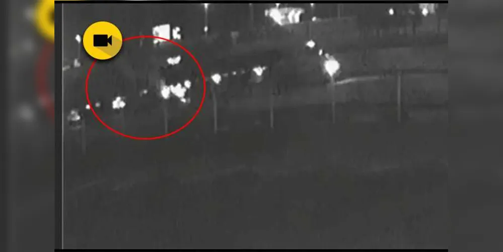Imagem ilustrativa da imagem Vídeo mostra acidente entre caminhões na BR-376