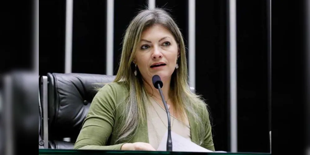Deputada castrense destinou mais de R$ 660 mil para readequação de estrada rural