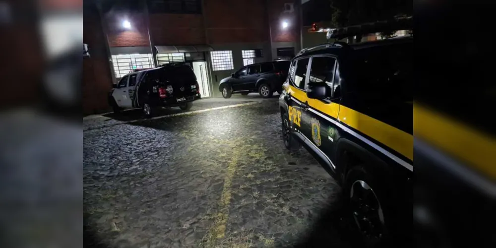 Imagem ilustrativa da imagem Motorista é preso após bater veículo na BR-376