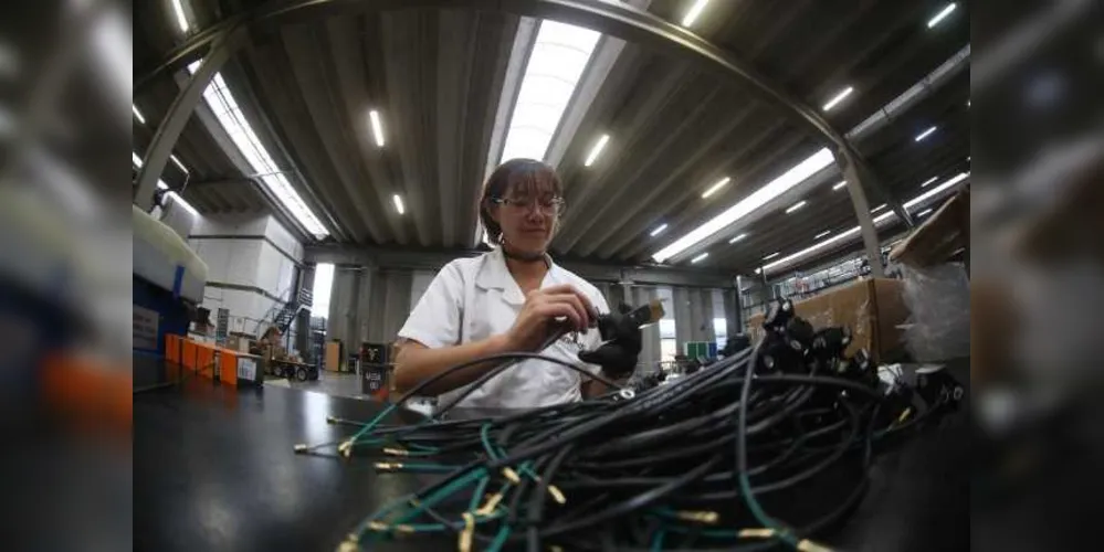  Vínculos no setor de fios e alimentos foi maior para mulheres que para homens