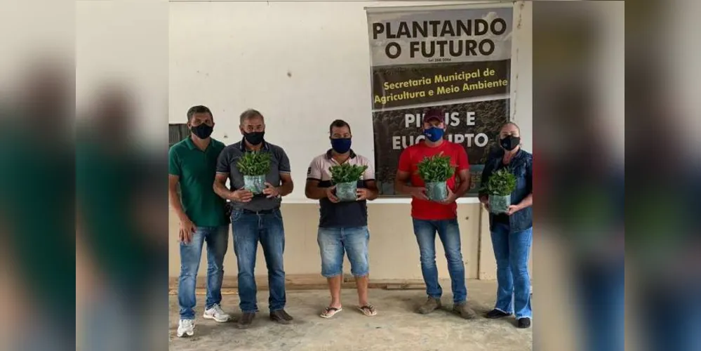 Cerca de 20 mil mudas de erva mate foram entregues para 64 produtores agrícolas