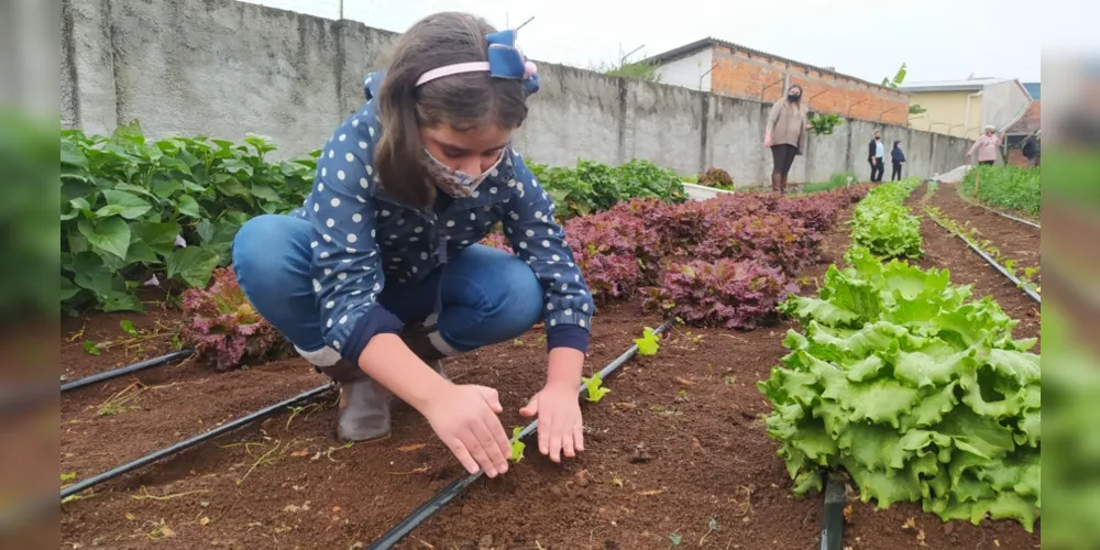 A Escola Municipal João Maria Cruz manteve a horta comunitária sustentável mesmo durante a pandemia e faz doação da colheita aos pais de alunos