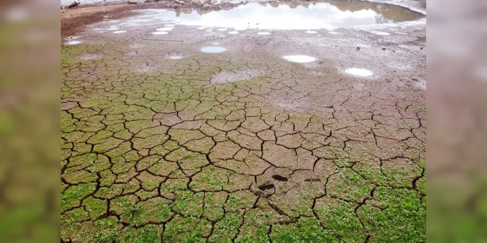 Levantamento do Simepar apontou que nove cidades, de quase todas as regiões do Estado, tiveram chuvas bem abaixo da média histórica entre os meses de junho de 2019 a março de 2020. Redução média na precipitação foi de 33% nos municípios pesquisados.
08/04/2020 - Foto: Geraldo Bubniak/AEN